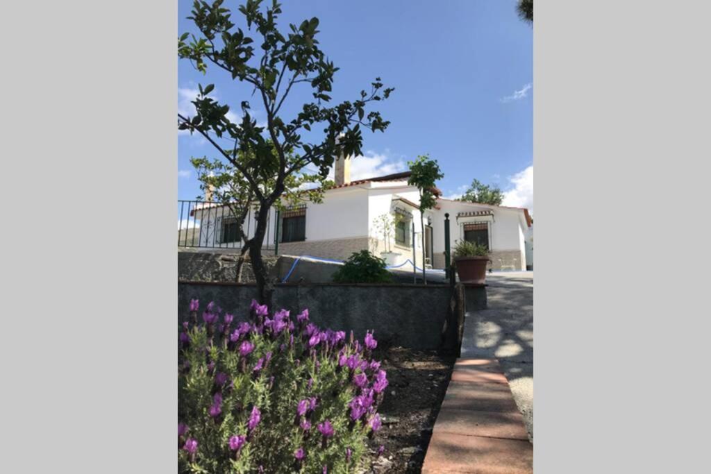 Casa Dimas Villa คอมเปตา ภายนอก รูปภาพ